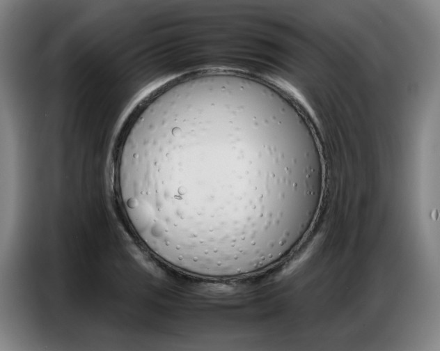 X0000087361125200704200820