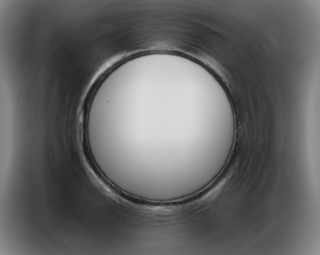 X0000087361126200704200820