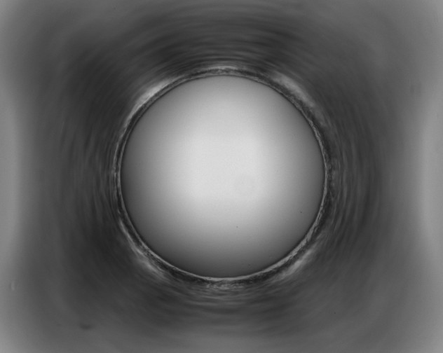 X0000087361129200704200820