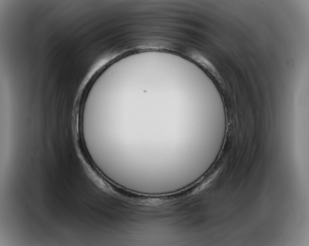X0000087361130200704200820