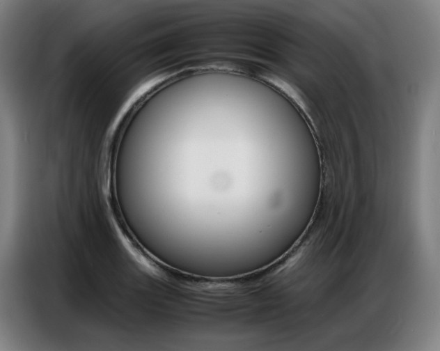 X0000087361131200704200820