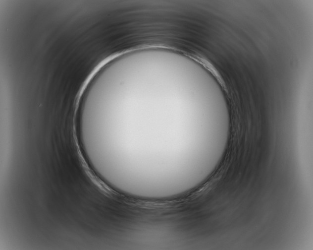 X0000087361132200704200820