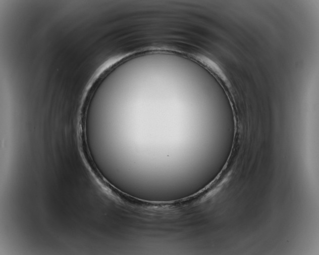 X0000087361133200704200820