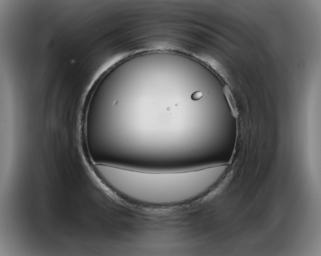 X0000087361134200704200820