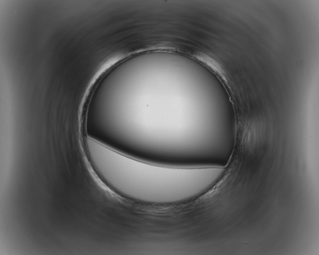 X0000087361135200704200820
