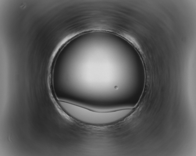 X0000087361136200704200820