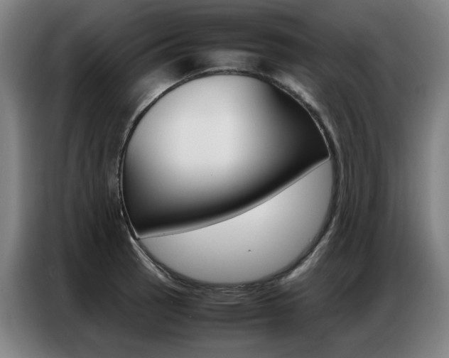 X0000087361137200704200820