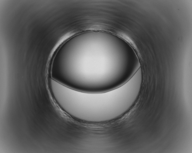 X0000087361138200704200820