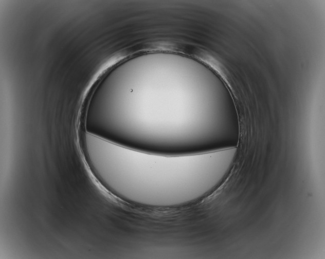 X0000087361139200704200820