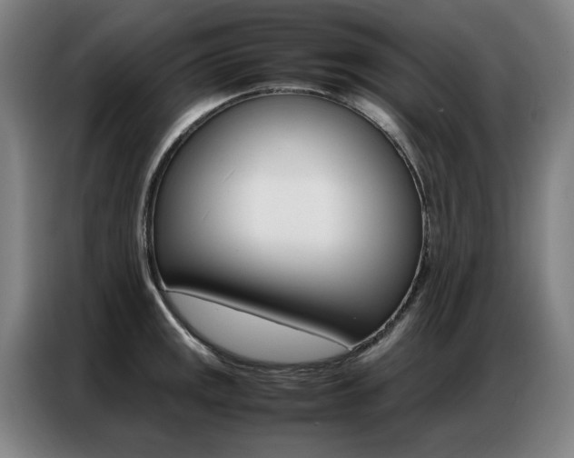 X0000087361141200704200820