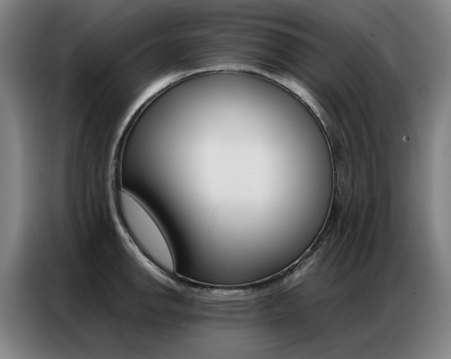 X0000087361142200704200820