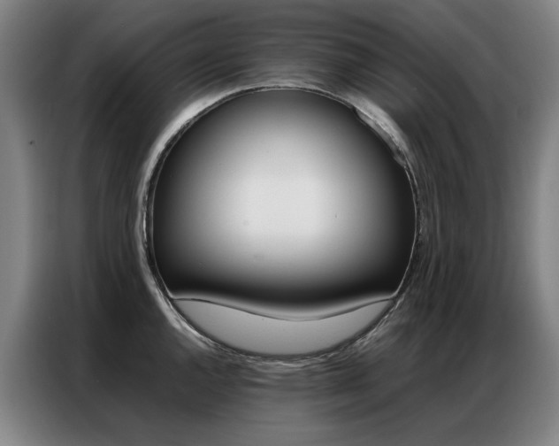 X0000087361144200704200820