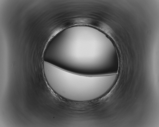 X0000087361145200704200820