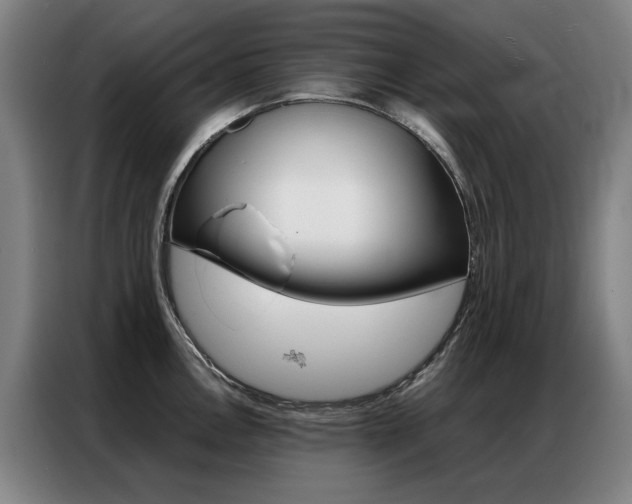X0000087361146200704200820