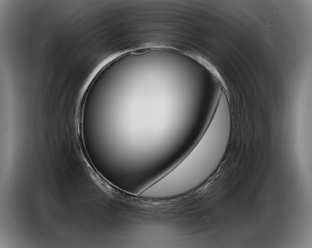 X0000087361148200704200820