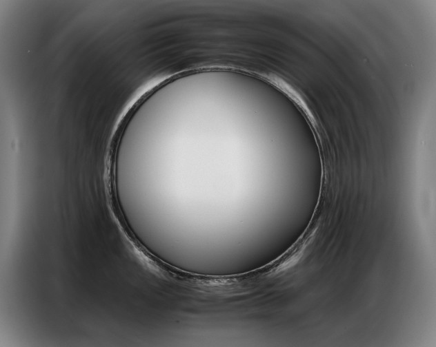 X0000087361149200704200820