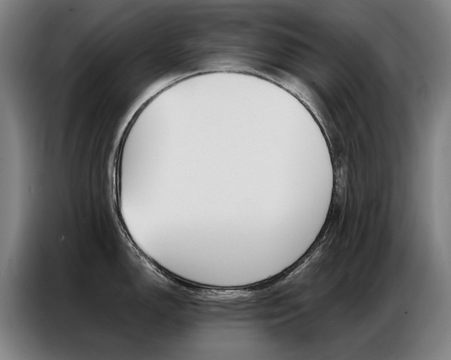 X0000087361150200704200820