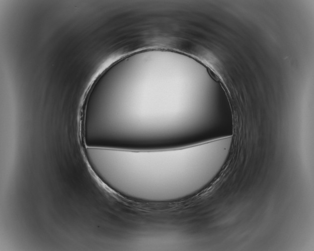 X0000087361151200704200820