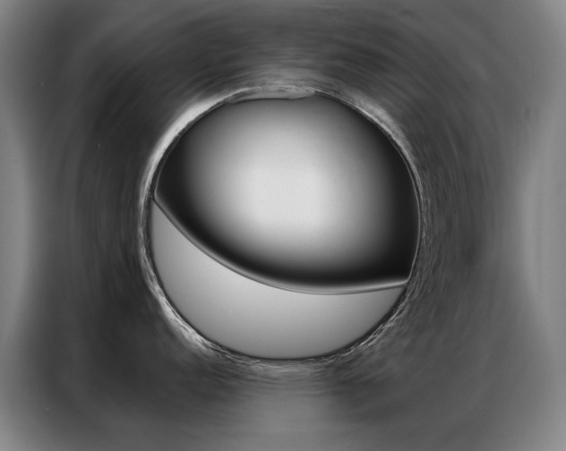 X0000087361152200704200820