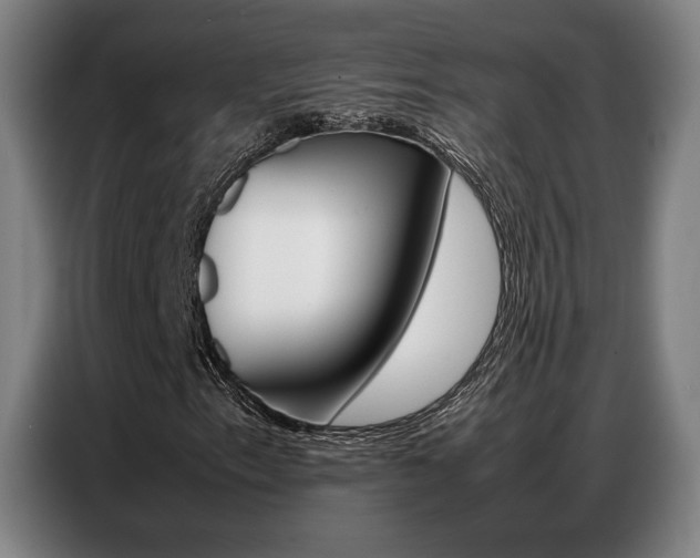 X0000087361153200704200820