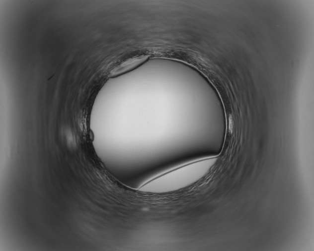 X0000087361155200704200820