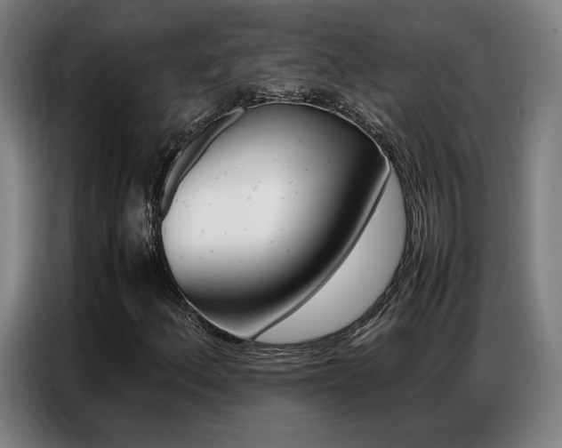 X0000087361156200704200820