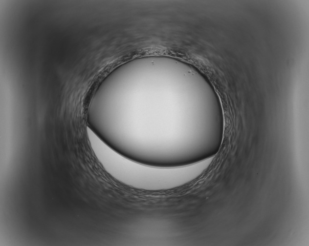 X0000087361157200704200820
