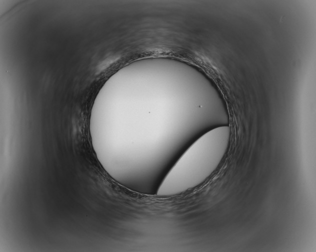 X0000087361158200704200819
