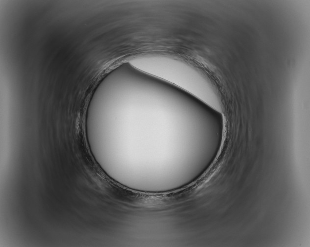 X0000087361161200704200819