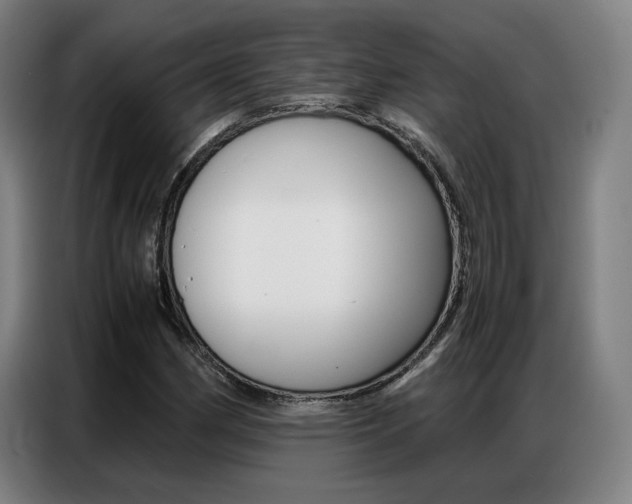 X0000087361162200704200819