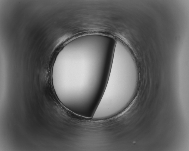 X0000087361163200704200819