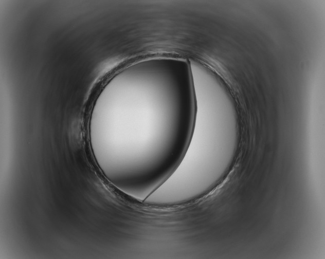 X0000087361164200704200819