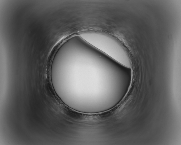 X0000087361165200704200819