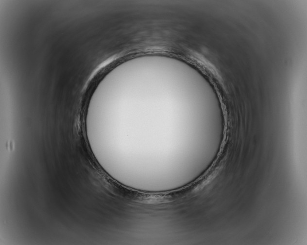 X0000087361166200704200819