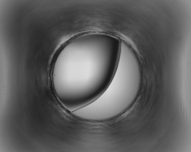 X0000087361168200704200819