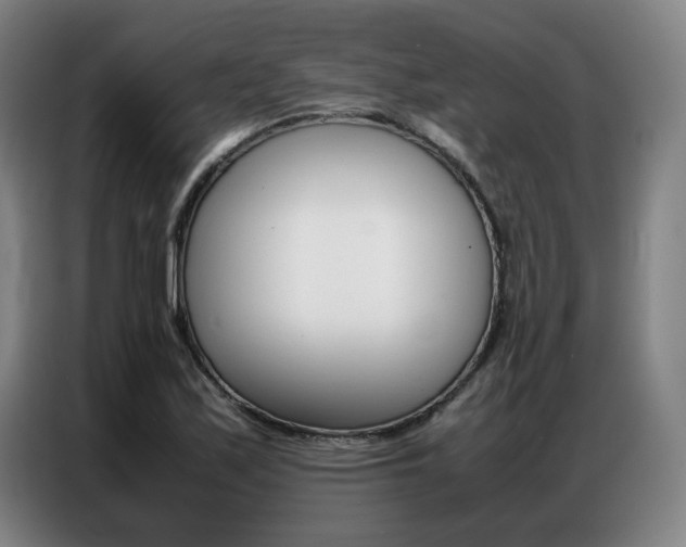 X0000087361171200704200819