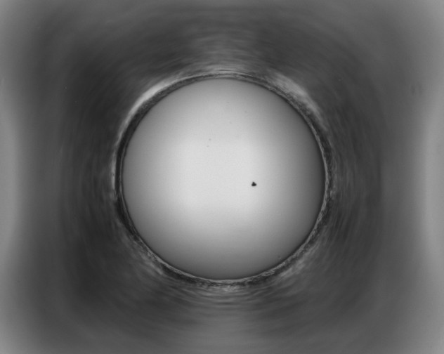 X0000087361174200704200819