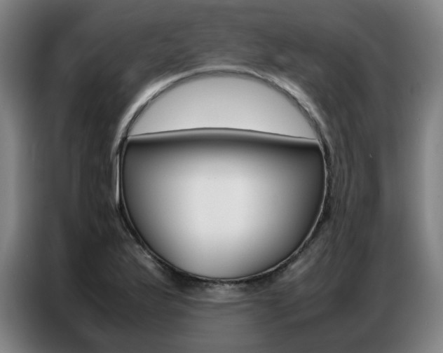 X0000087361175200704200819
