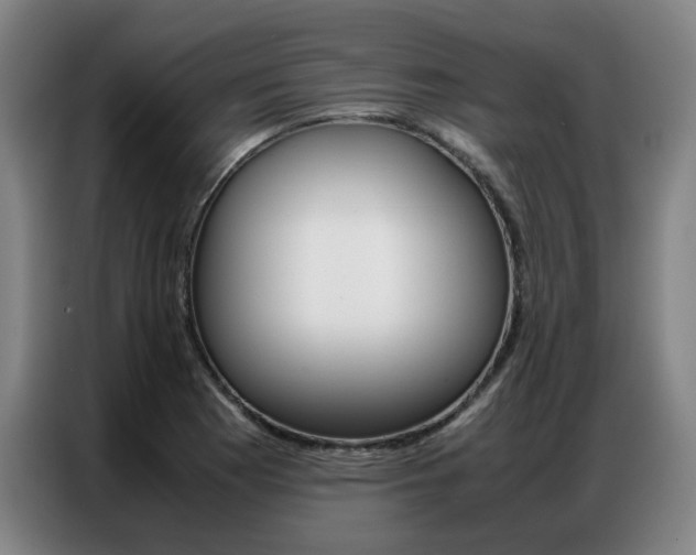 X0000087361177200704200819