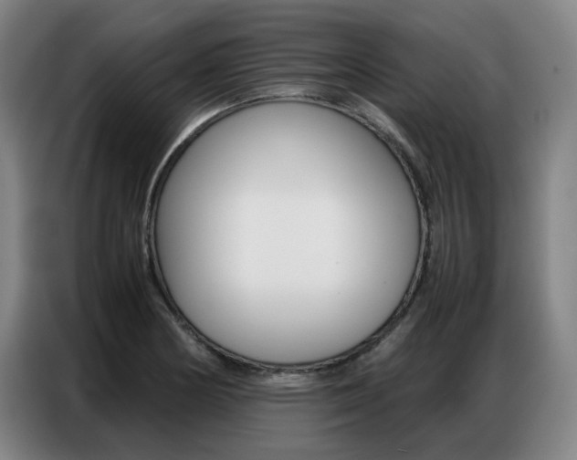 X0000087361178200704200819