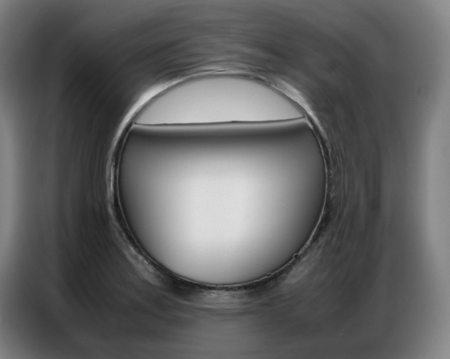 X0000087361179200704200819