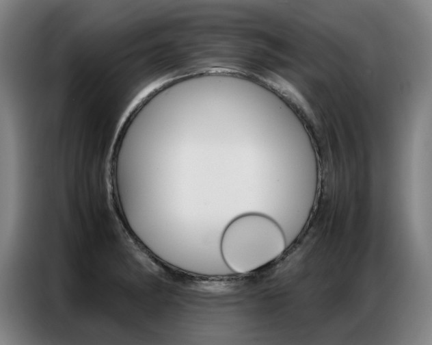 X0000087361182200704200819