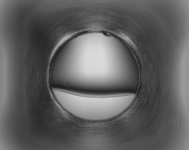 X0000087361183200704200819