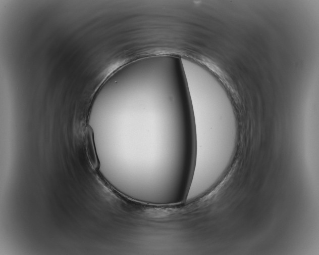 X0000087361185200704200819