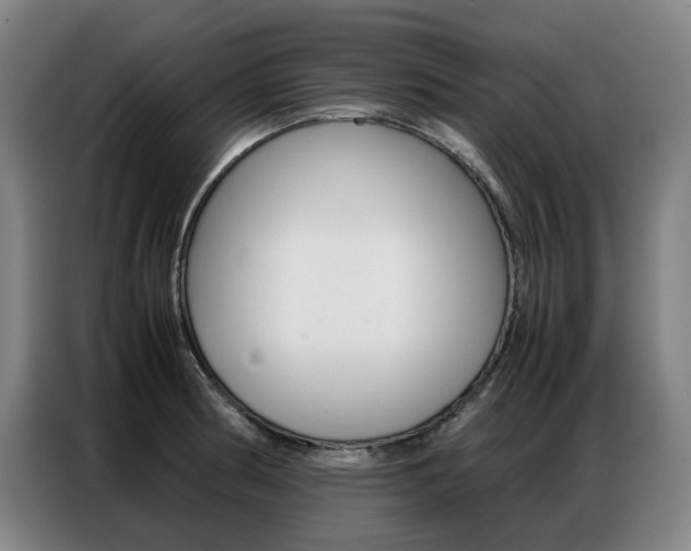 X0000087361186200704200819