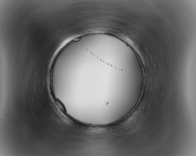 X0000087361187200704200819