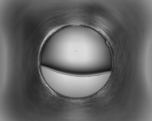X0000087361191200704200819