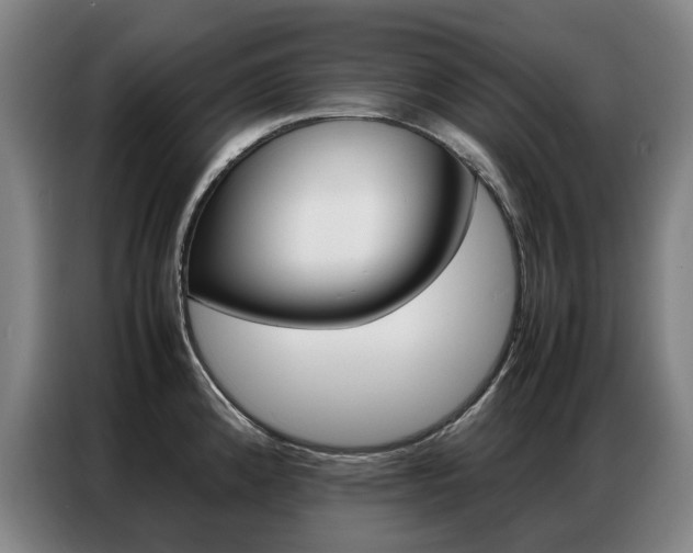 X0000087361192200704200819