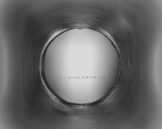 X0000087361195200704200819