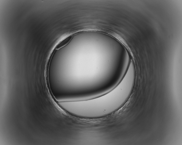 X0000087361197200704200819